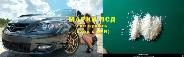 стафф Арсеньев