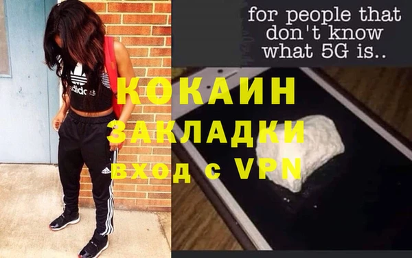 стафф Арсеньев