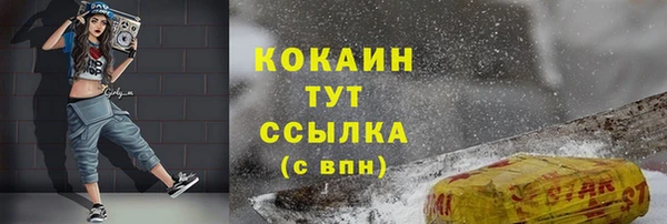 стафф Арсеньев