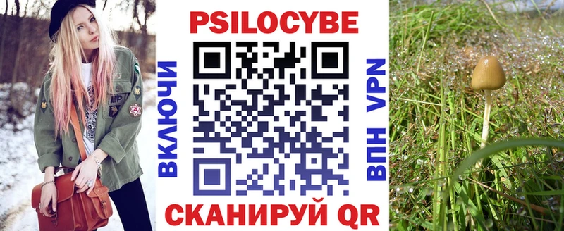 Галлюциногенные грибы мухоморы Олонец
