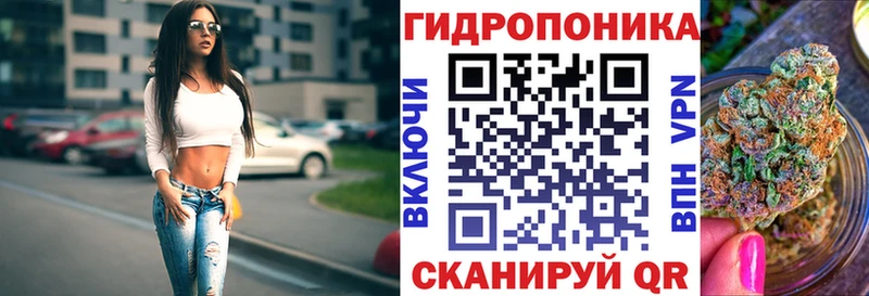Конопля марихуана  Олонец 